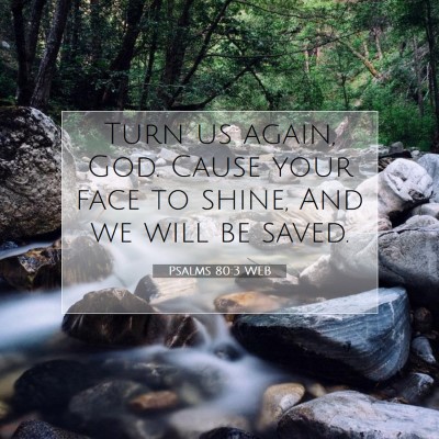 Picture 07 - Psalms 80:3 WEB - Turn us again, God. Cause your face to shine, And - Bible Verse Picture