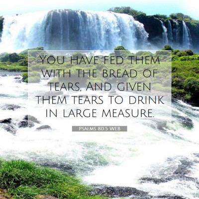 Picture 07 - Psalms 80:5 WEB - You have fed them with the bread of tears, And - Bible Verse Picture