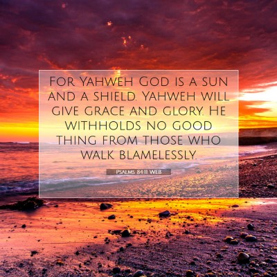 Picture 07 - Psalms 84:11 WEB - For Yahweh God is a sun and a shield. Yahweh will - Bible Verse Picture