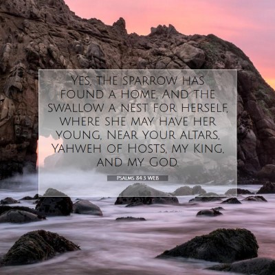 Picture 07 - Psalms 84:3 WEB - Yes, the sparrow has found a home, And the - Bible Verse Picture