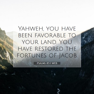 Picture 07 - Psalms 85:1 WEB - Yahweh, you have been favorable to your land. You - Bible Verse Picture