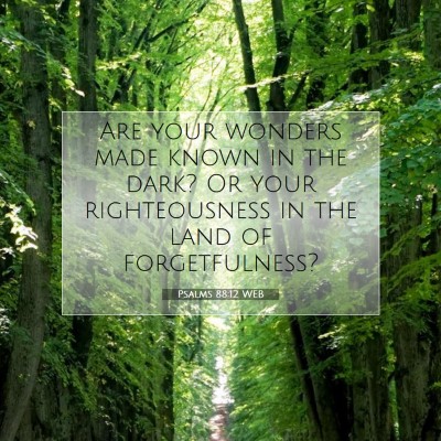 Picture 07 - Psalms 88:12 WEB - Are your wonders made known in the dark? Or your - Bible Verse Picture