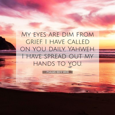 Picture 07 - Psalms 88:9 WEB - My eyes are dim from grief. I have called on you - Bible Verse Picture