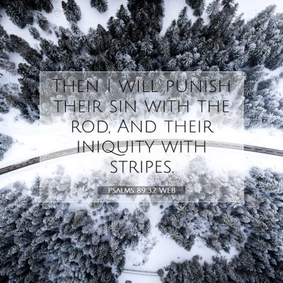 Picture 07 - Psalms 89:32 WEB - Then I will punish their sin with the rod, And - Bible Verse Picture