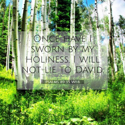 Picture 07 - Psalms 89:35 WEB - Once have I sworn by my holiness, I will not lie - Bible Verse Picture
