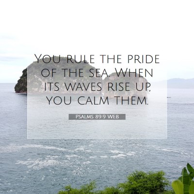 Picture 07 - Psalms 89:9 WEB - You rule the pride of the sea. When its waves - Bible Verse Picture