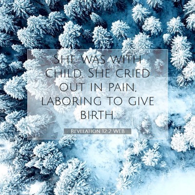 Picture 07 - Revelation 12:2 WEB - She was with child. She cried out in pain, - Bible Verse Picture