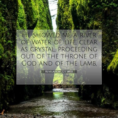 Picture 07 - Revelation 22:1 WEB - He showed me a river of water of life, clear as - Bible Verse Picture