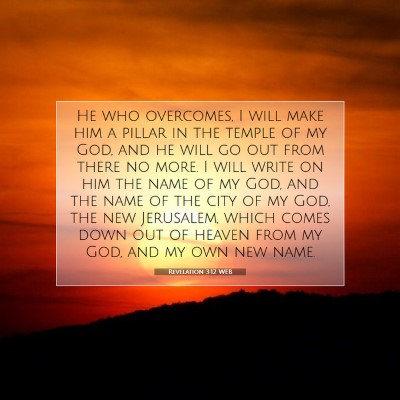 Picture 07 - Revelation 3:12 WEB - He who overcomes, I will make him a pillar in the - Bible Verse Picture