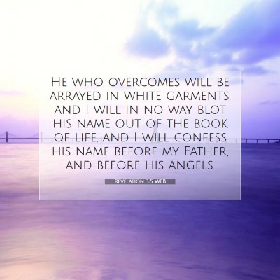 Picture 07 - Revelation 3:5 WEB - He who overcomes will be arrayed in white - Bible Verse Picture