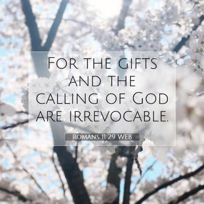 Picture 07 - Romans 11:29 WEB - For the gifts and the calling of God are - Bible Verse Picture