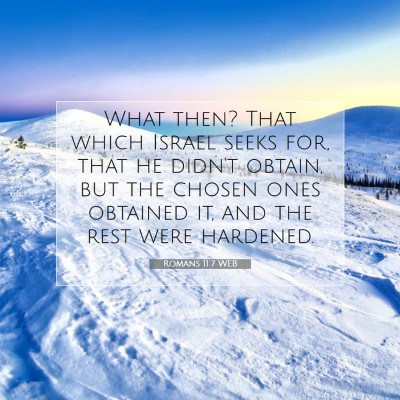 Picture 07 - Romans 11:7 WEB - What then? That which Israel seeks for, that he - Bible Verse Picture