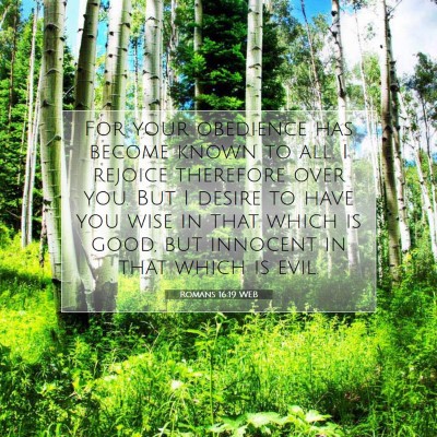Picture 07 - Romans 16:19 WEB - For your obedience has become known to all. I - Bible Verse Picture