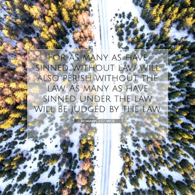 Picture 07 - Romans 2:12 WEB - For as many as have sinned without law will also - Bible Verse Picture