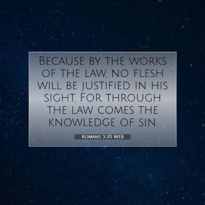 Picture 07 - Romans 3:20 WEB - Because by the works of the law, no flesh will be - Bible Verse Picture