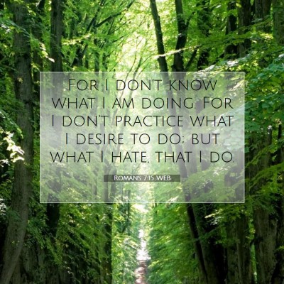 Picture 07 - Romans 7:15 WEB - For I don't know what I am doing. For I don't - Bible Verse Picture