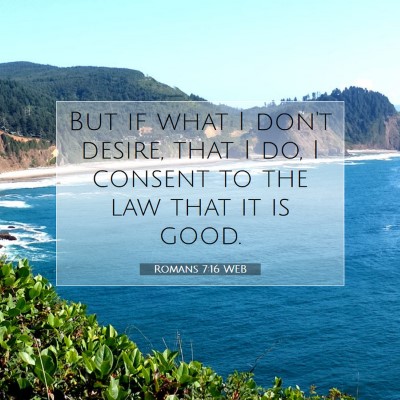 Picture 07 - Romans 7:16 WEB - But if what I don't desire, that I do, I consent - Bible Verse Picture