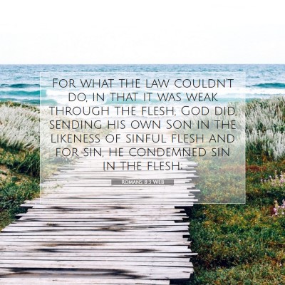 Picture 07 - Romans 8:3 WEB - For what the law couldn't do, in that it was weak - Bible Verse Picture