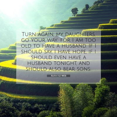 Picture 07 - Ruth 1:12 WEB - Turn again, my daughters, go your way; for I am - Bible Verse Picture