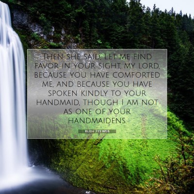 Picture 07 - Ruth 2:13 WEB - Then she said, Let me find favor in your sight, - Bible Verse Picture