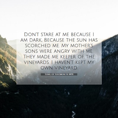 Picture 07 - Song of Solomon 1:6 WEB - Don't stare at me because I am dark, Because the - Bible Verse Picture