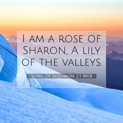 Picture 07 - Song of Solomon 2:1 WEB - I am a rose of Sharon, A lily of the - Bible Verse Picture