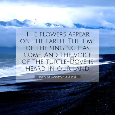 Picture 07 - Song of Solomon 2:12 WEB - The flowers appear on the earth; The time of the - Bible Verse Picture
