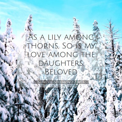 Picture 07 - Song of Solomon 2:2 WEB - As a lily among thorns, So is my love among the - Bible Verse Picture