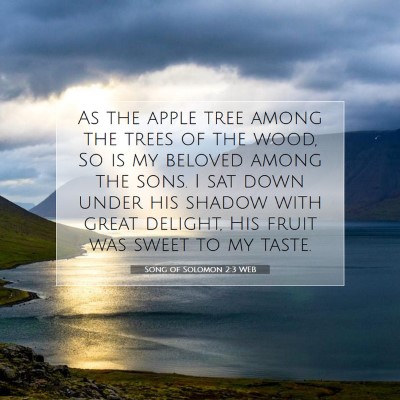 Picture 07 - Song of Solomon 2:3 WEB - As the apple tree among the trees of the wood, So - Bible Verse Picture