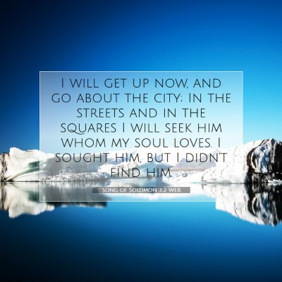 Picture 07 - Song of Solomon 3:2 WEB - I will get up now, and go about the city; In the - Bible Verse Picture