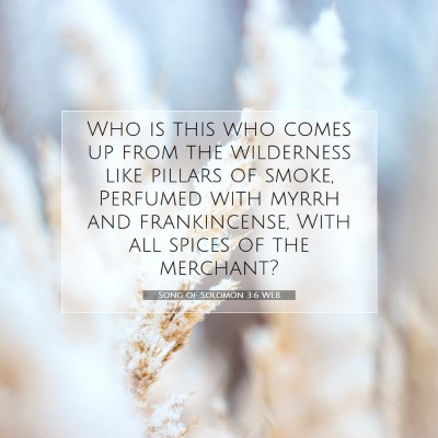 Picture 07 - Song of Solomon 3:6 WEB - Who is this who comes up from the wilderness like - Bible Verse Picture