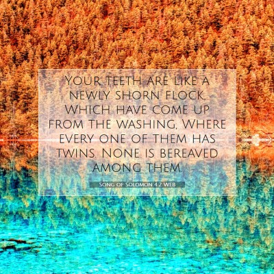 Picture 07 - Song of Solomon 4:2 WEB - Your teeth are like a newly shorn flock, Which - Bible Verse Picture