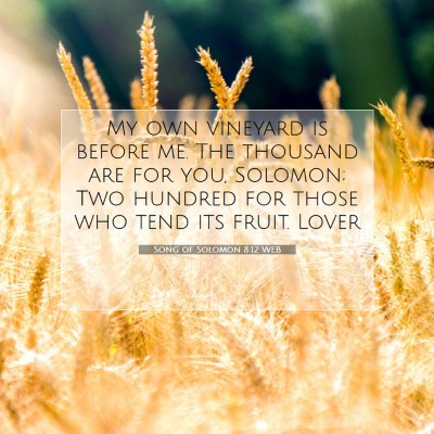 Picture 07 - Song of Solomon 8:12 WEB - My own vineyard is before me. The thousand are - Bible Verse Picture