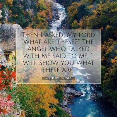Picture 07 - Zechariah 1:9 WEB - Then I asked, 'My lord, what are these?'