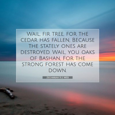 Picture 07 - Zechariah 11:2 WEB - Wail, fir tree, for the cedar has fallen, Because - Bible Verse Picture