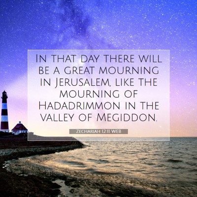 Picture 07 - Zechariah 12:11 WEB - In that day there will be a great mourning in - Bible Verse Picture