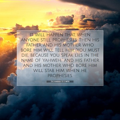 Picture 07 - Zechariah 13:3 WEB - It will happen that, when anyone still - Bible Verse Picture