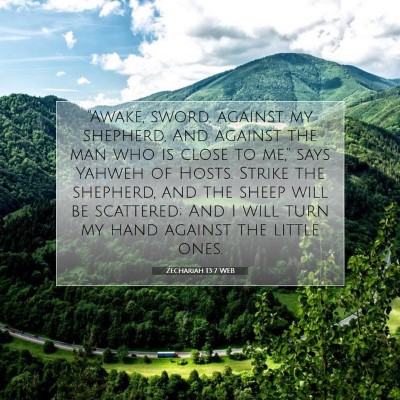 Picture 07 - Zechariah 13:7 WEB - 
