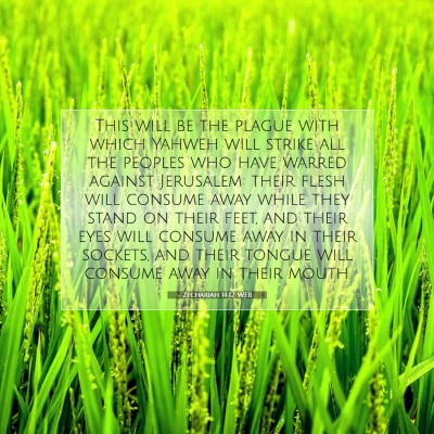 Picture 07 - Zechariah 14:12 WEB - This will be the plague with which Yahweh will - Bible Verse Picture