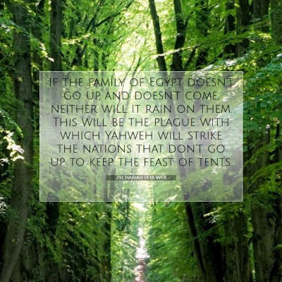 Picture 07 - Zechariah 14:18 WEB - If the family of Egypt doesn't go up, and doesn't - Bible Verse Picture