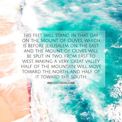 Picture 07 - Zechariah 14:4 WEB - His feet will stand in that day on the Mount of - Bible Verse Picture