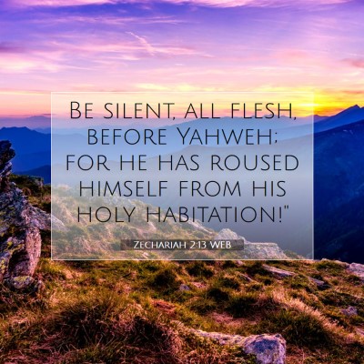 Picture 07 - Zechariah 2:13 WEB - Be silent, all flesh, before Yahweh; for he has - Bible Verse Picture