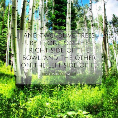 Picture 07 - Zechariah 4:3 WEB - and two olive trees by it, one on the right side - Bible Verse Picture