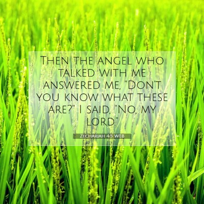 Picture 07 - Zechariah 4:5 WEB - Then the angel who talked with me answered me, - Bible Verse Picture