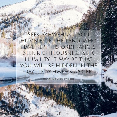 Picture 07 - Zephaniah 2:3 WEB - Seek Yahweh, all you humble of the land, who have - Bible Verse Picture