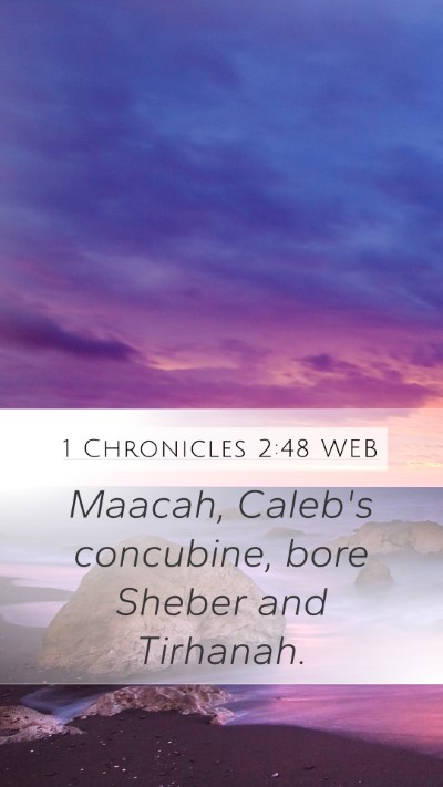 1 Chronicles 2:48 WEB Mobile Phone Wallpaper - Maacah, Caleb's concubine, bore Sheber and - Mobile Bible Verse Wallpaper