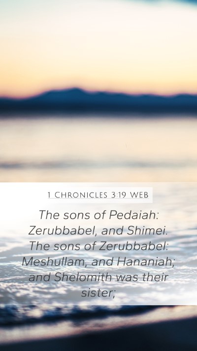 1 Chronicles 3:19 WEB Bible Verse Image