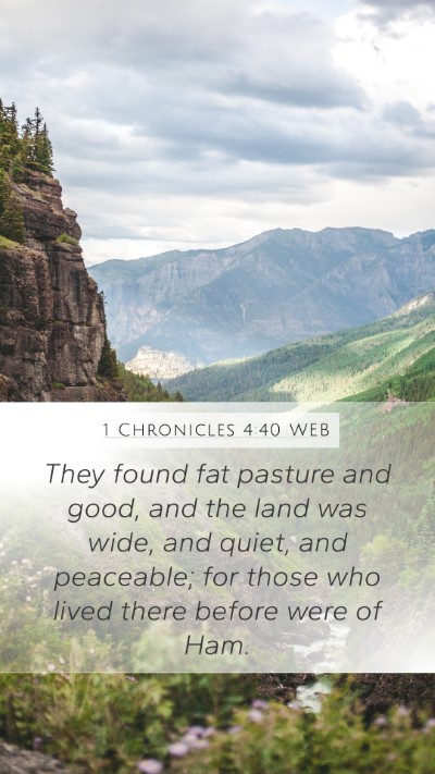 1 Chronicles 4:40 WEB Bible Verse Image