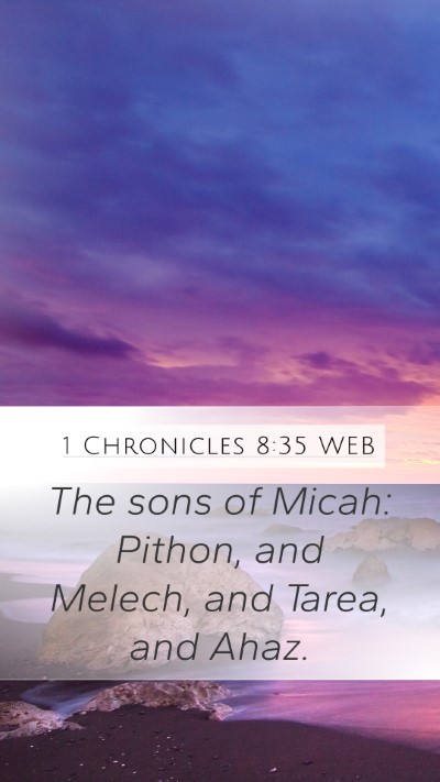 1 Chronicles 8:35 WEB Bible Verse Image