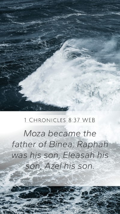 1 Chronicles 8:37 WEB Bible Verse Image